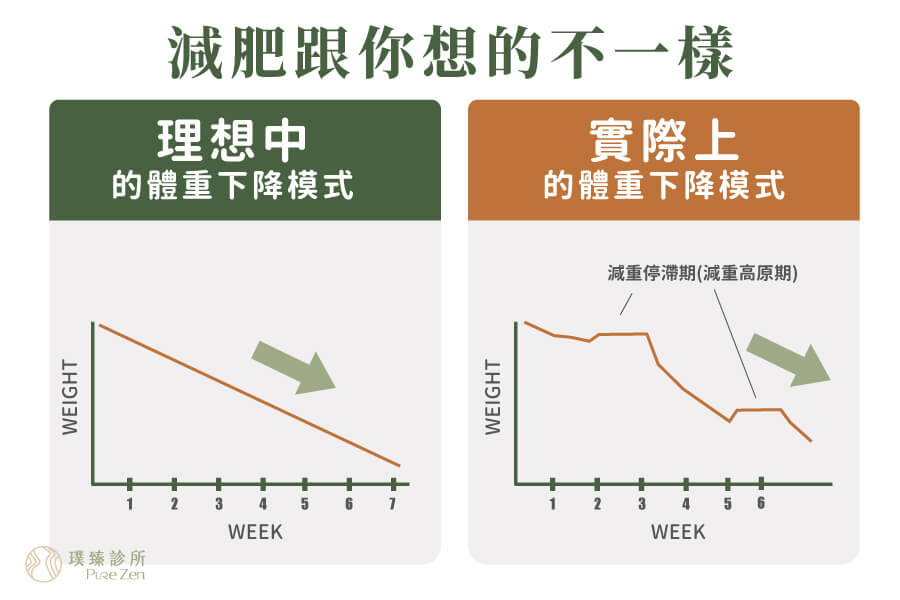 減肥的體重下降模式_減重停滯期減重高原期-