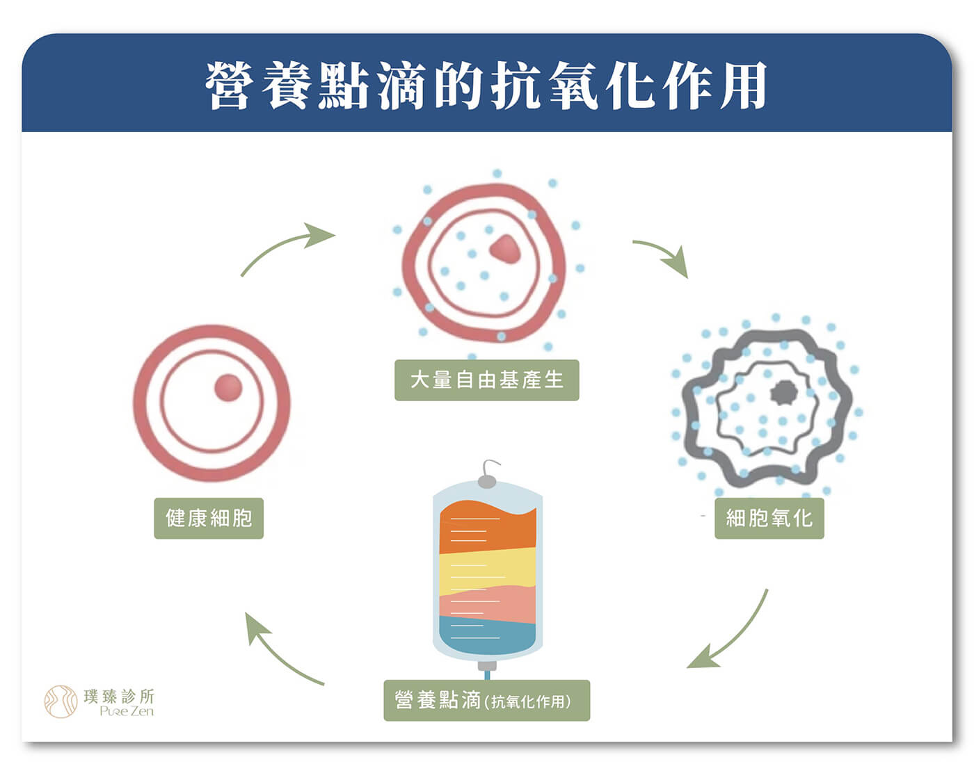 營養針(營養點滴)的治療原理，人體內有數千種不同的分子，如葡萄糖、血紅素、輔酶，當人體代謝及遭遇外界因素產生過量的自由基，會對人體進行氧化傷害，例如攻擊蛋白質分子、引起發炎反應…等等。營養針(營養點滴)的治療原理，衍伸於「正分子醫學（Orthomolecular Medicine, OM）」，透過補充人體所需的天然物質濃度，如維生素、礦物質、胺基酸和其他必需營養素，來平衡體內的分子結構、幫助抗氧化，維持健康及治療疾病