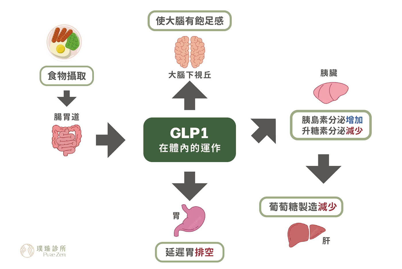 glp 1 是 什麼 home_bkk