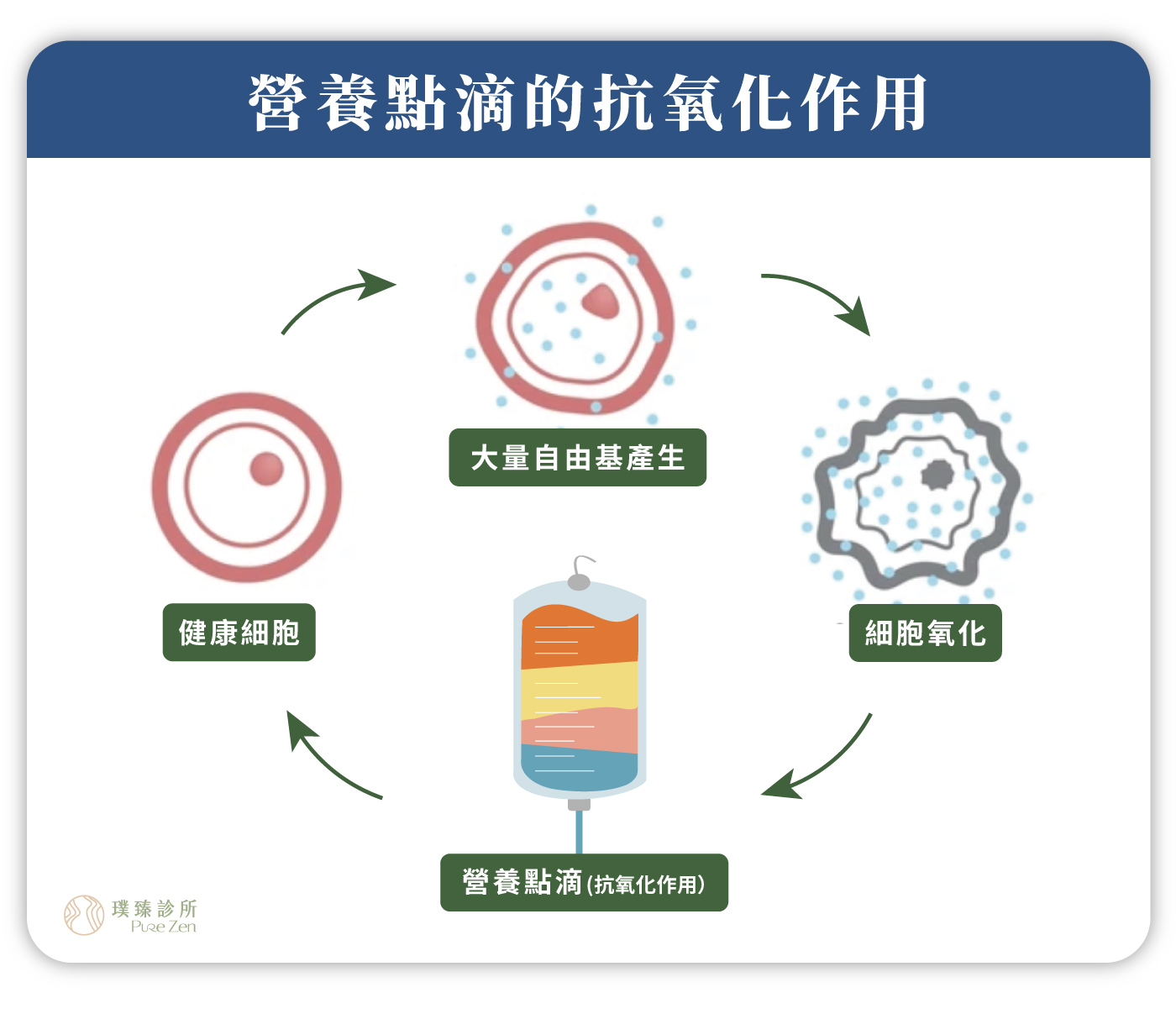 營養針(營養點滴)的治療原理,人體內有數千種不同的分子,如葡萄糖、血紅素、輔酶,當人體代謝及遭遇外界因素產生過量的自由基,會對人體進行氧化傷害,例如攻擊蛋白質分子、引起發炎反應…等等。營養針(營養點滴)的治療原理,衍伸於「正分子醫學(Orthomolecular Medicine, OM)」,透過補充人體所需的天然物質濃度,如維生素、礦物質、胺基酸和其他必需營養素,來平衡體內的分子結構、幫助抗氧化,維持健康及治療疾病