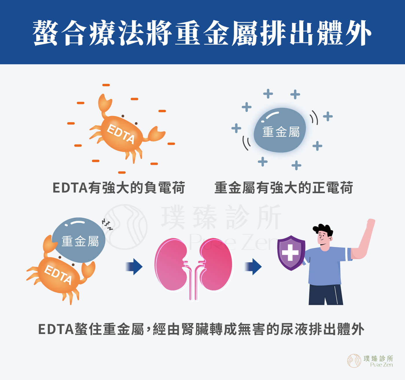 螯合療法螯合點滴_透過螯合療法將重金屬排出體外