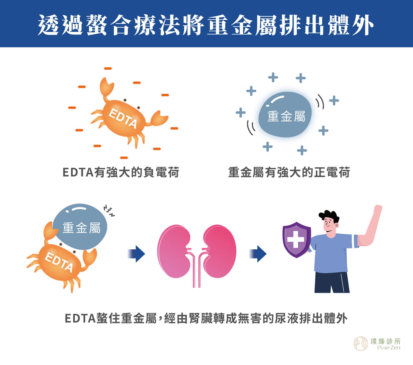 螯合療法螯合點滴_透過螯合療法將重金屬排出體外