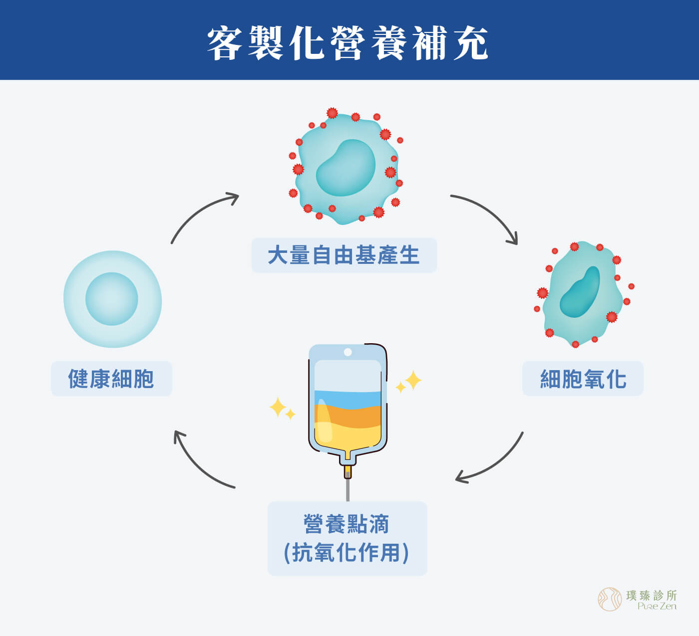 客製化營養補充,多項研究指出,重金屬造成的氧化壓力會增加心血管疾病風險,損害血管內皮細胞,並改變脂質代謝等機制對心血管系統產生影響。螯合點滴除了螯合劑,另會依患者的身體狀況,客製化搭配抗氧化劑、維他命等微量元素進行治療。 螯合點滴特點_客製化營養補充