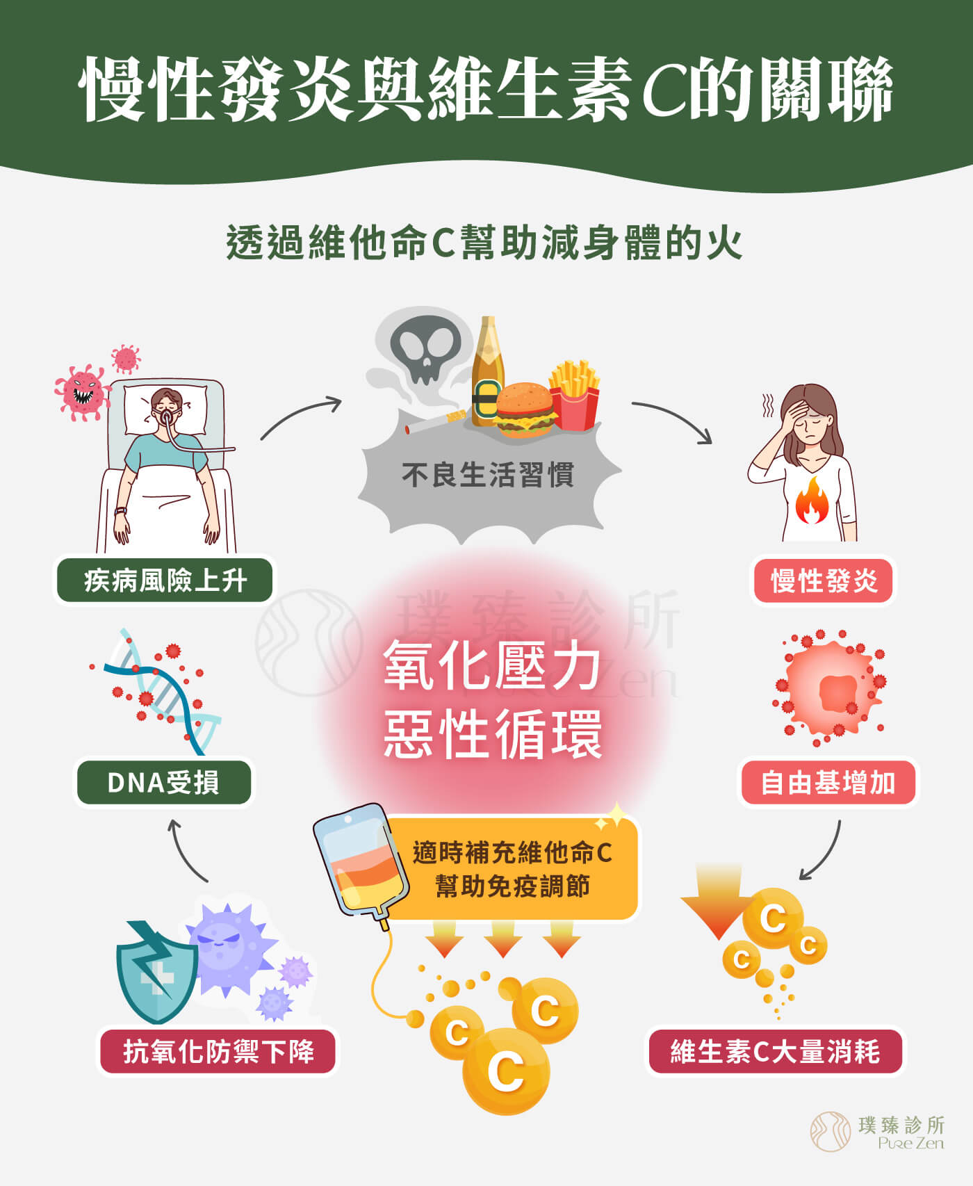 功能醫學點滴在減重的作用原理,降低身體慢性發炎,功能醫學的核心觀點是「慢性發炎」,是許多疾病與肥胖的根源。透過如維生素C、硒、鋅等成分,高度抗氧化作用,可中和自由基,減少細胞受到慢性氧化壓力的傷害。 慢性發炎與維生素C的關聯_透過維他命C幫助減身體的火