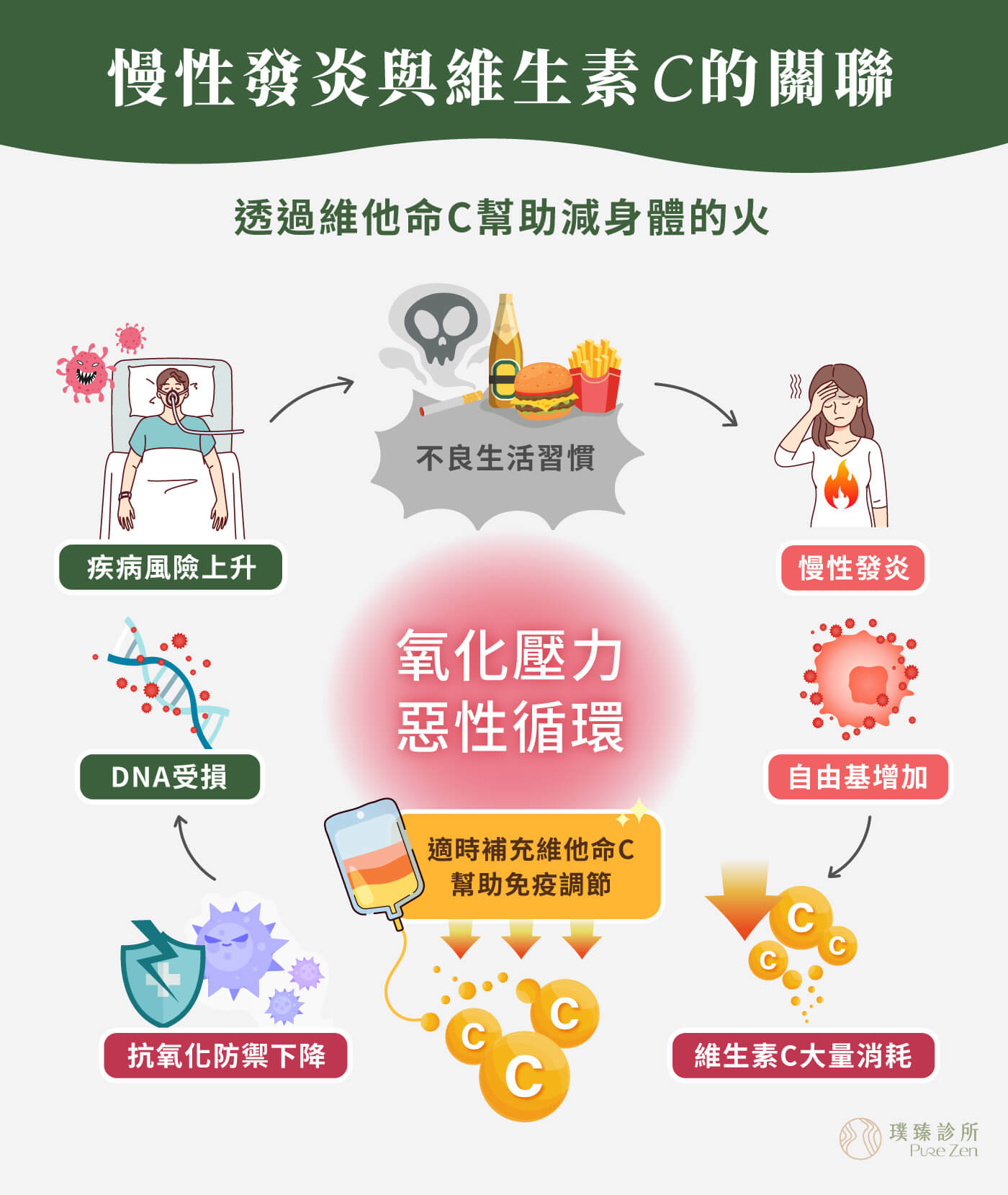 功能醫學點滴在減重的作用原理,降低身體慢性發炎,功能醫學的核心觀點是「慢性發炎」,是許多疾病與肥胖的根源。透過如維生素C、硒、鋅等成分,高度抗氧化作用,可中和自由基,減少細胞受到慢性氧化壓力的傷害。 慢性發炎與維生素C的關聯_透過維他命C幫助減身體的火