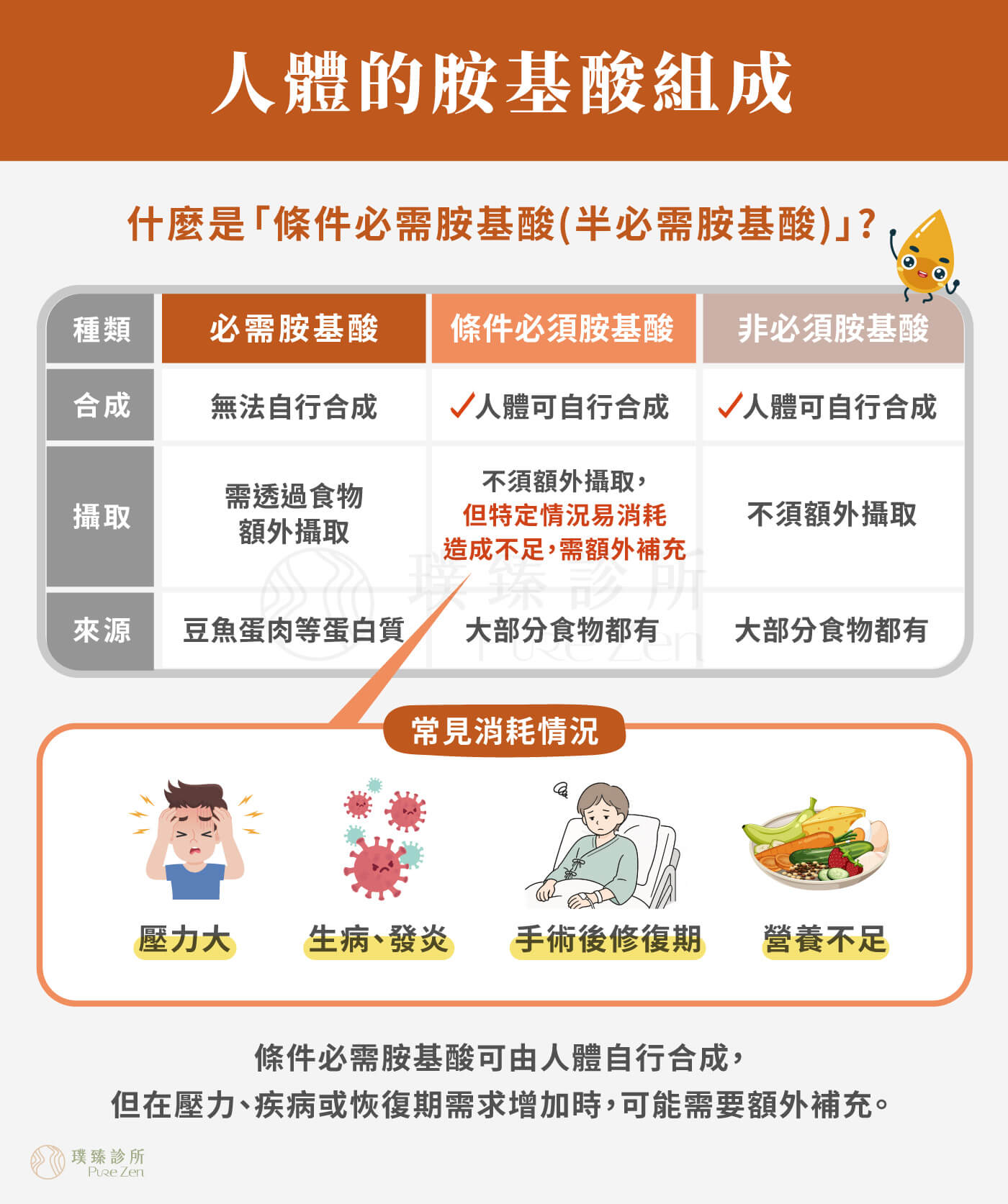 人體運作需要20種胺基酸組成,有些胺基酸可由人體自行合成,有些必須透過飲食補充。醫學上常將胺基酸分為必需胺基酸、非必需胺基酸與條件式必需胺基酸;在壓力、疾病、手術恢復、營養不足或身體消耗增加時,部分胺基酸的需求可能上升,稱為條件必需胺基酸。 人體的胺基酸組成_什麼是條件必需胺基酸