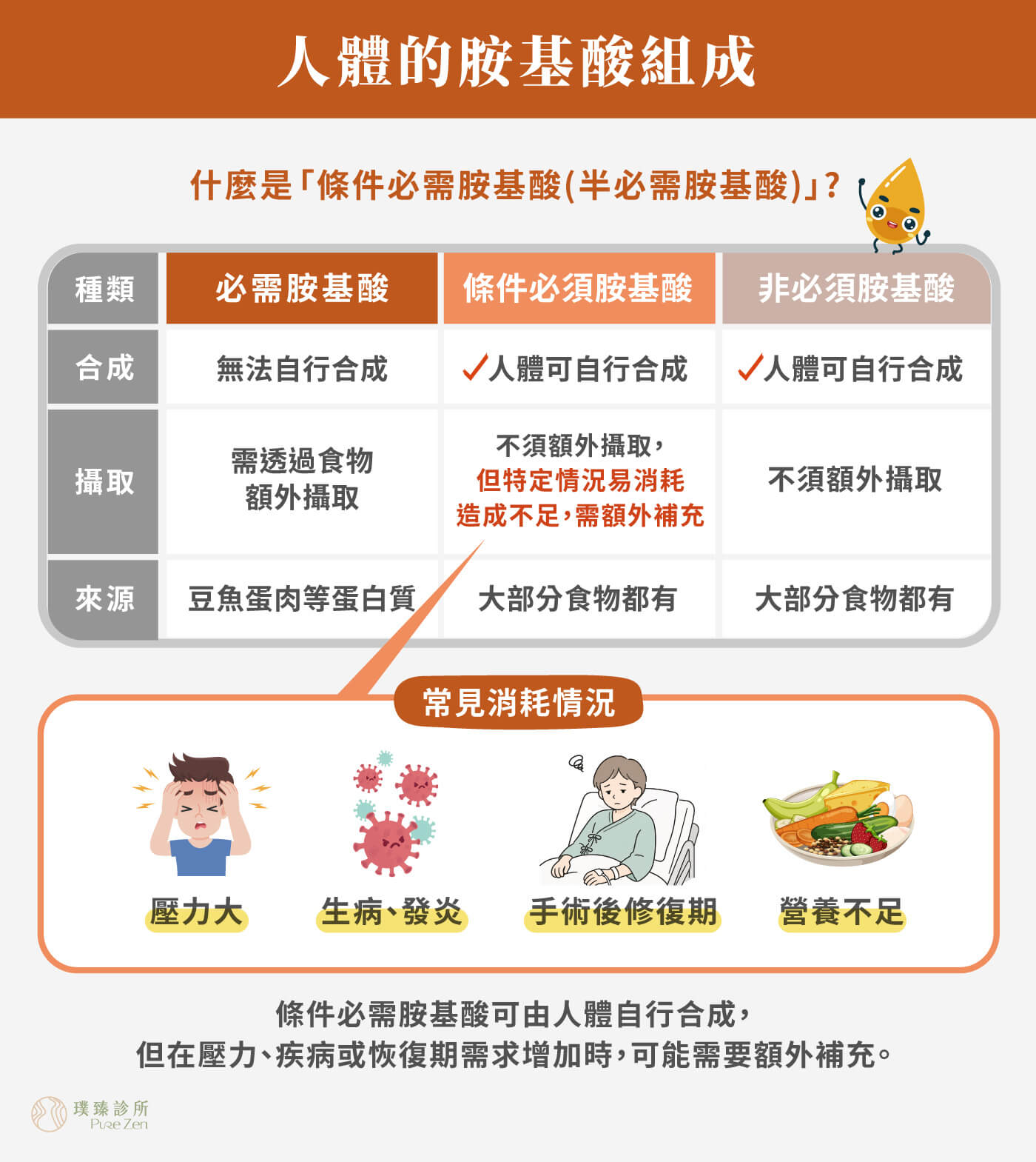 人體運作需要20種胺基酸組成,有些胺基酸可由人體自行合成,有些必須透過飲食補充。醫學上常將胺基酸分為必需胺基酸、非必需胺基酸與條件式必需胺基酸;在壓力、疾病、手術恢復、營養不足或身體消耗增加時,部分胺基酸的需求可能上升,稱為條件必需胺基酸。 人體的胺基酸組成_什麼是條件必需胺基酸