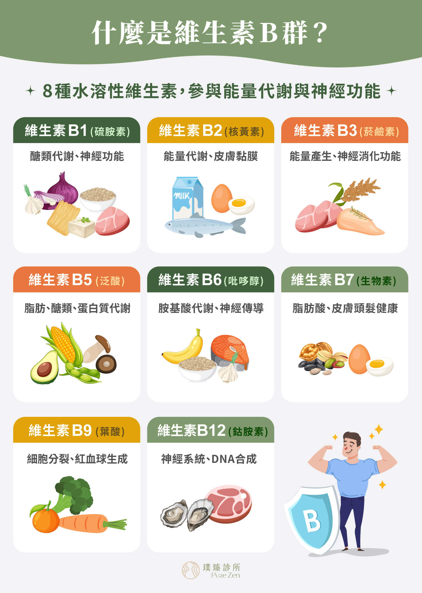 什麼是維生素B群_8-種水溶性維生素參與能量代謝與神經功能