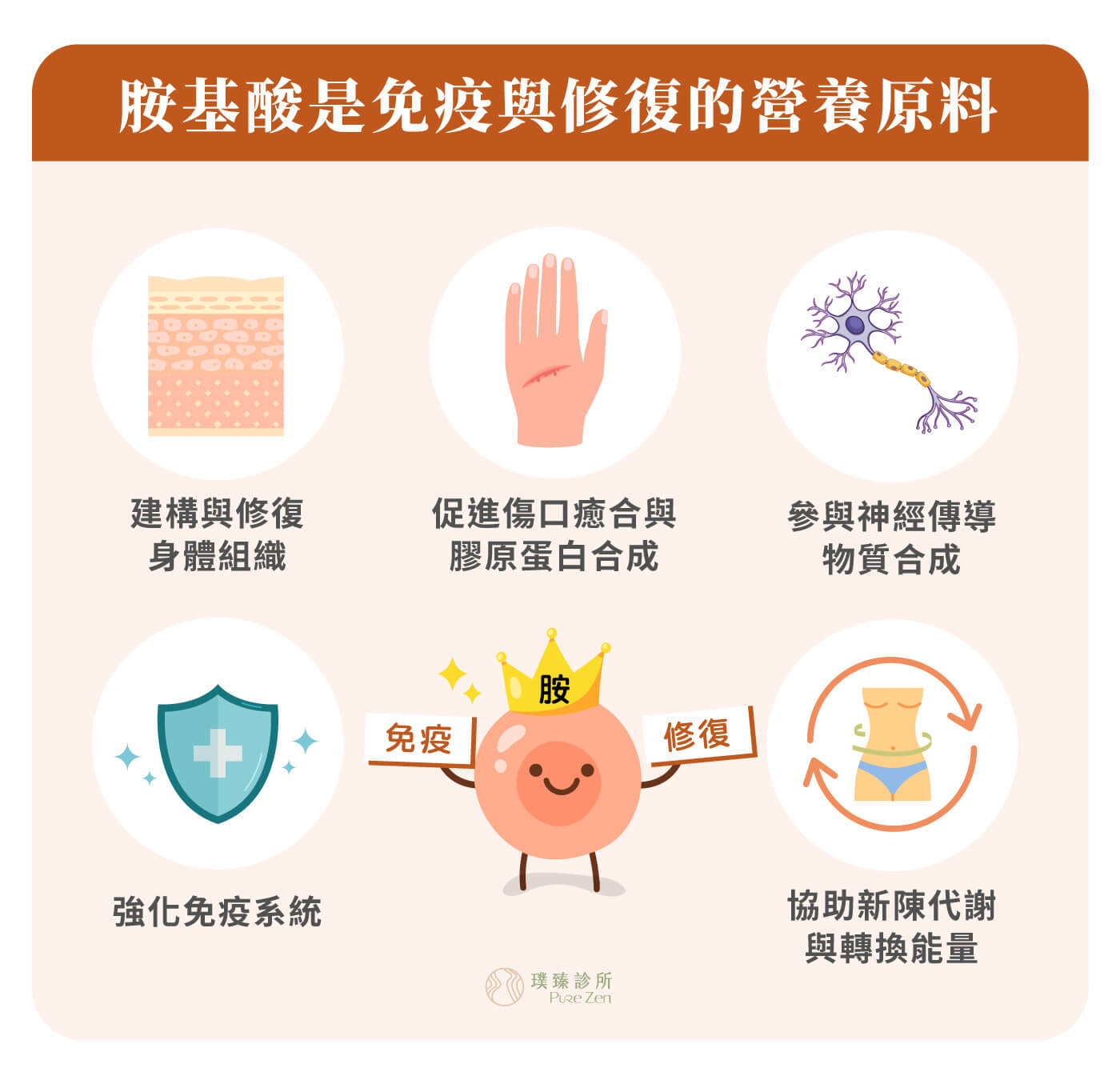 胺基酸對人體的重要性,協助組織修復與恢復力,胺基酸參與皮膚、肌肉、黏膜、器官與結締組織的修復。當身體處於壓力、熬夜、恢復期或營養不足狀態時,胺基酸需求可能增加。若原料不足,身體修復效率也可能受到影響。 胺基酸對人體的重要性_協助組織修復與恢復力