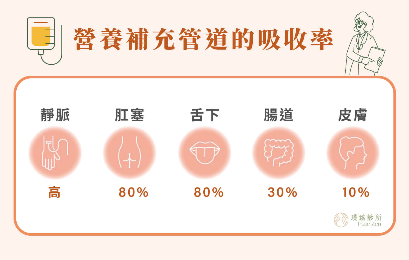 胺基酸點滴的特點:不經腸胃道吸收,直接進入血液循環。與口服蛋白質、胺基酸粉或營養補充品不同,胺基酸點滴透過靜脈輸液進入體內,不需經過腸胃消化分解。對於腸胃吸收不佳、食慾不振、短期營養補充需求較高的個案,能提供另一種營養支持方式。 胺基酸點滴的特點_營養補充管道的吸收率