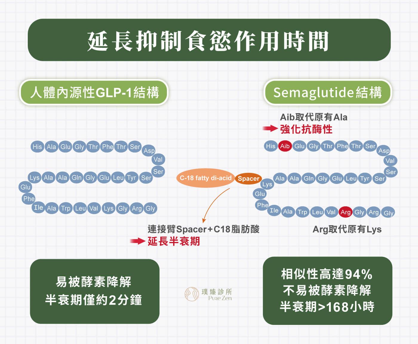 週纖達5大特點-幫助大腦降低食慾穩定荷爾蒙,週纖達可模擬人體 GLP-1 訊號,與天然GLP-1的結構有94%的相似度,可活化食慾和食物攝取的生理性調節因子,傳達至大腦下視丘,增加關鍵的飽足訊號、降低饑餓訊號。對於容易嘴饞、晚間進食、壓力型進食,或吃飽後仍想吃東西的人,透過身體的飽足訊號調節,進而降低食慾、減少食物攝取,達到減重效果。 週纖達5大特點_幫助大腦降低食慾穩定荷爾蒙