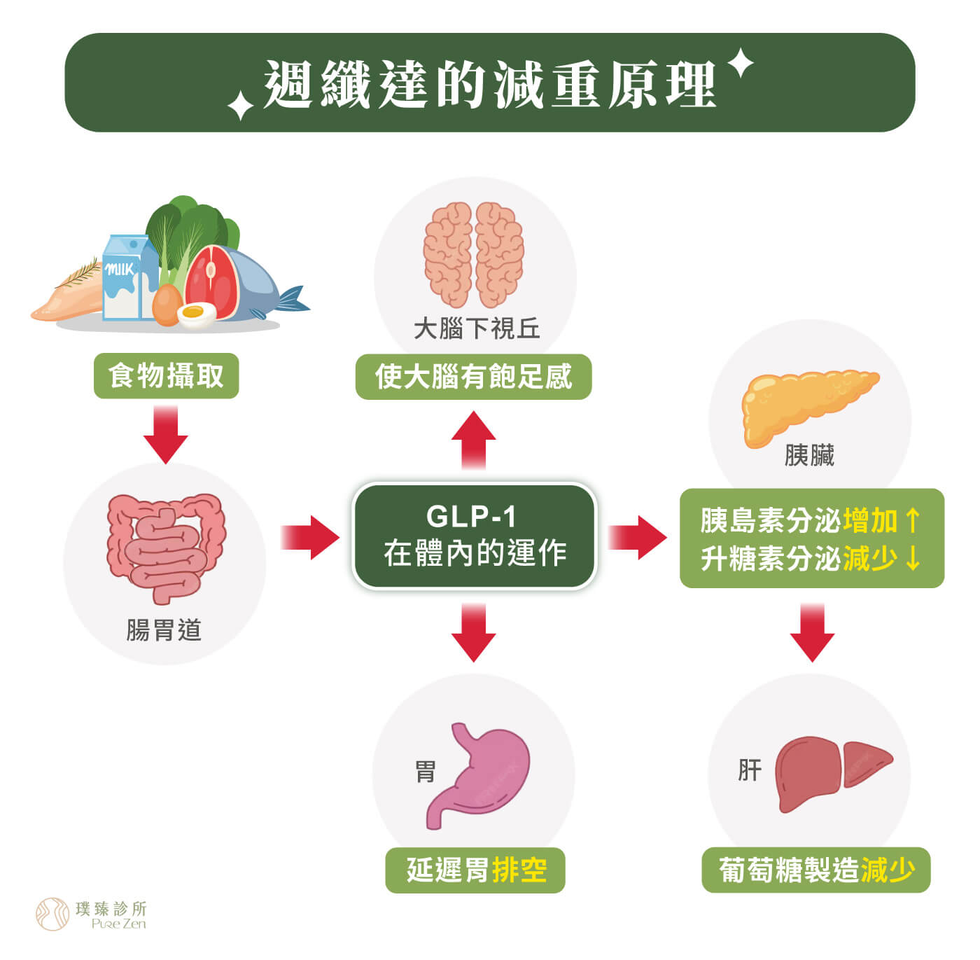 週纖達的作用機轉,週纖達 Wegovy 的主要成分為 Semaglutide,屬於 GLP-1(Glucagon-like peptide 1, GLP-1)受體促效劑,是人體天然荷爾蒙腸泌素(Incretin)類似物。人體進食後腸道分泌的腸泌素,與食慾、飽足感、胃排空、胰島素(Insulin)與升糖素調節有關。 圖片檔名:週纖達減重筆的減重原理_週纖達減重筆的作用機轉 週纖達減重筆的減重原理_週纖達減重筆的作用機轉