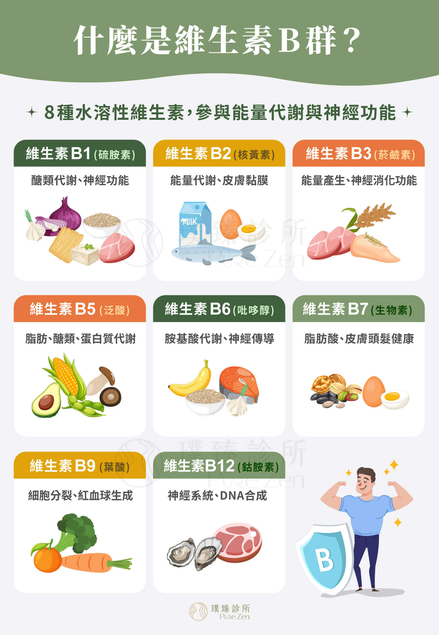 維生素B 群包含哪些營養素,維生素B群(VitaminBComplex)不是單一維生素,而是一群水溶性維生素的總稱。B 群主要參與人體的能量代謝、神經系統運作、紅血球生成、皮膚與黏膜健康等功能,也與脂肪酸、膽固醇及胺基酸等代謝反應有關。 什麼是維生素B群_8-種水溶性維生素參與能量代謝與神經功能