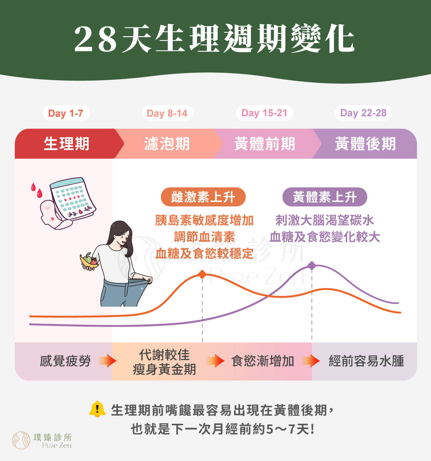 28天生理週期的變化,排卵通常發生在下一次月經前約14天。一般來說,生理期前嘴饞最容易出現在黃體後期,也就是下一次月經前約5~7天。有些經前症候群較明顯的女性,可能從黃體前期就開始感覺食慾增加,但通常到了黃體後期,想吃甜食、澱粉或高油脂食物的感覺會更明顯。 28天生理週期的變化_生理期前嘴饞最容易出現在黃體後期